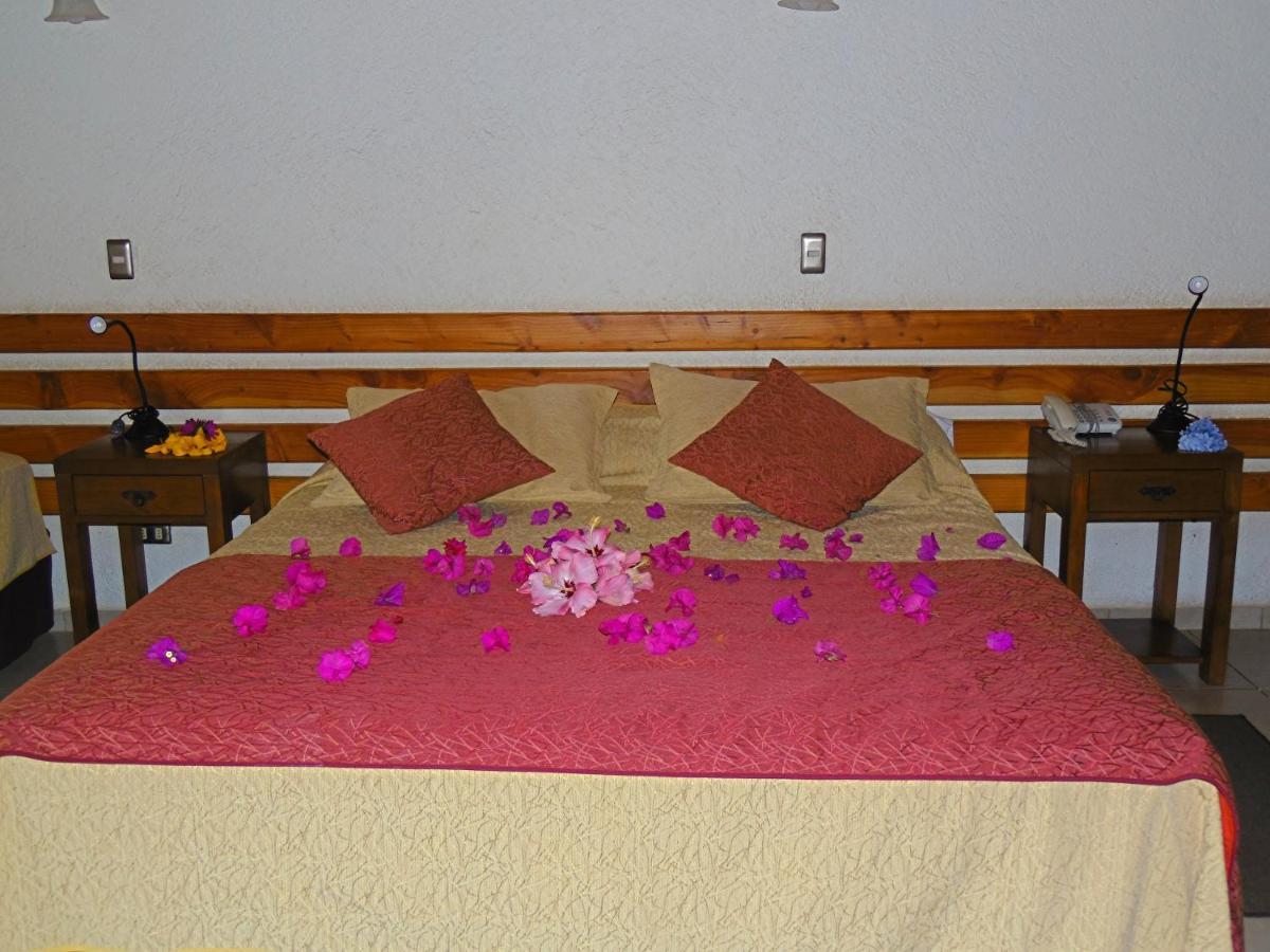 Hotel Puku Vai อังกาโรอา ภายนอก รูปภาพ