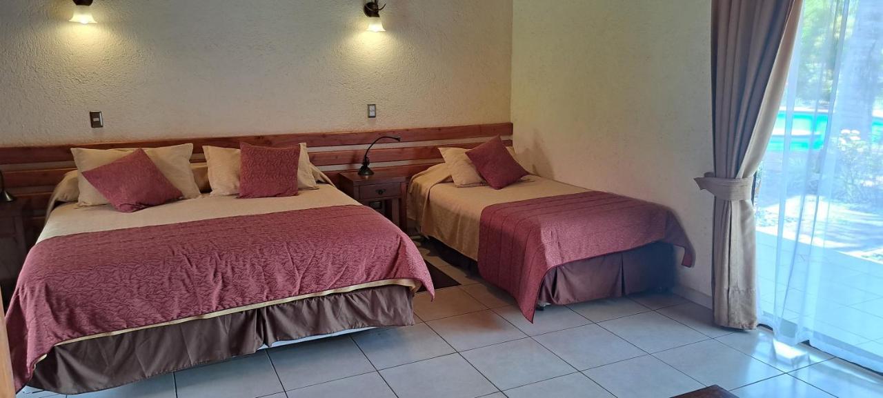 Hotel Puku Vai อังกาโรอา ภายนอก รูปภาพ